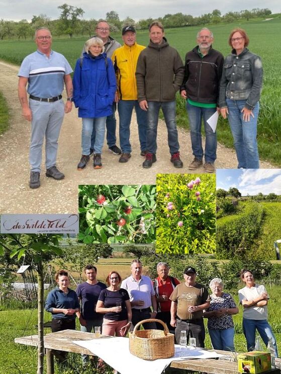 oben: Gespräch mit der STROBi e.V. - unten: Besichtigung des &quot;Wilden Felds&quot;