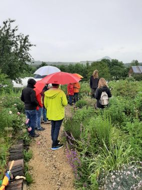 Philipp Linke von Syringa gibt den Teilnehmern Tipps für den eigenen Garten